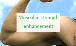 Increased musle strength